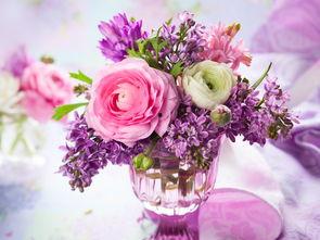 娱乐吃瓜酱一束鲜花